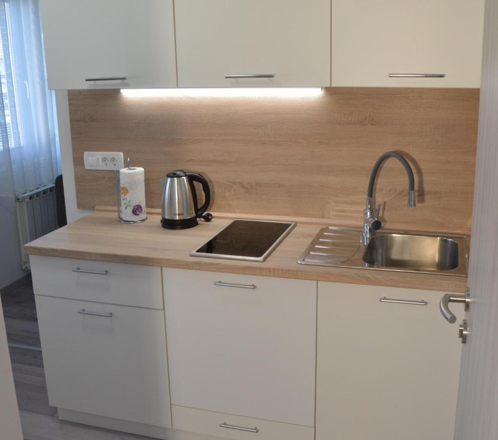 Apartma Vila Zigmund Cerknica Ngoại thất bức ảnh